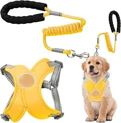 Guía para seleccionar el arnés perfecto para tu perro pequeño