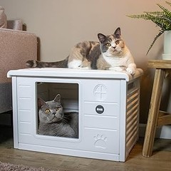 Estanterías fijas vs. modulares para gatos: ¿Cuál elegir?