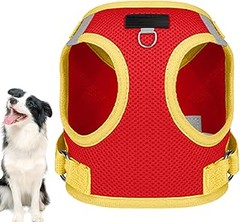 Comparativa de precios y características de correas y arneses para perros pequeños