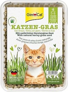 Los mejores materiales para estanterías de gatos indoor