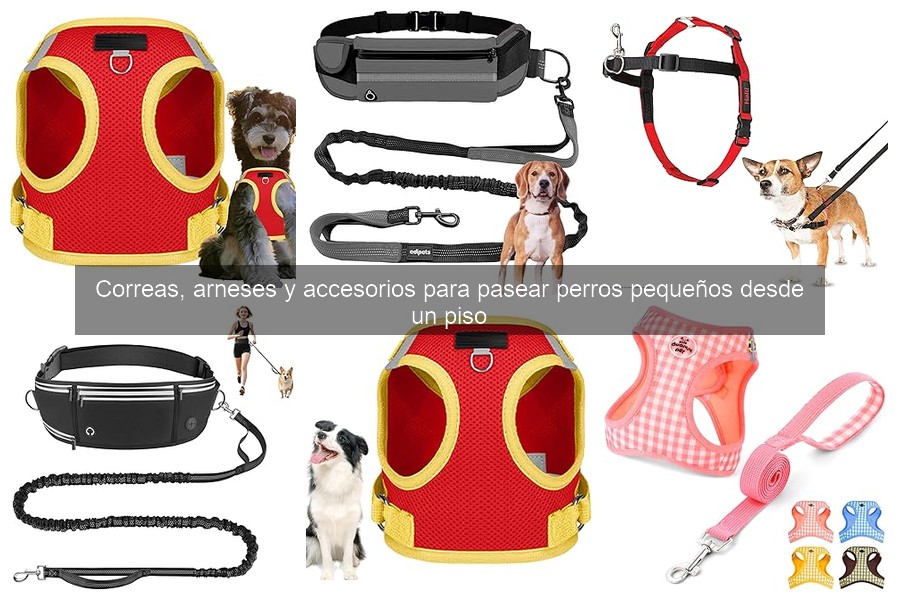 Accesorios Esenciales para Pasear Perros Pequeños en Pisos