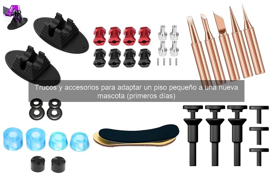 Accesorios imprescindibles para mascotas en pisos pequeños