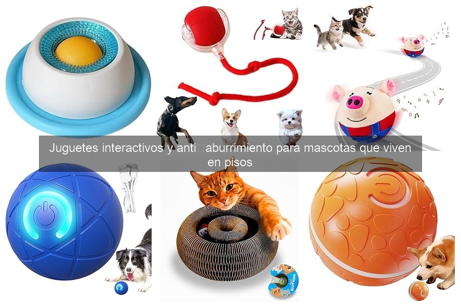 Alternativas a juguetes interactivos para mascotas en pisos