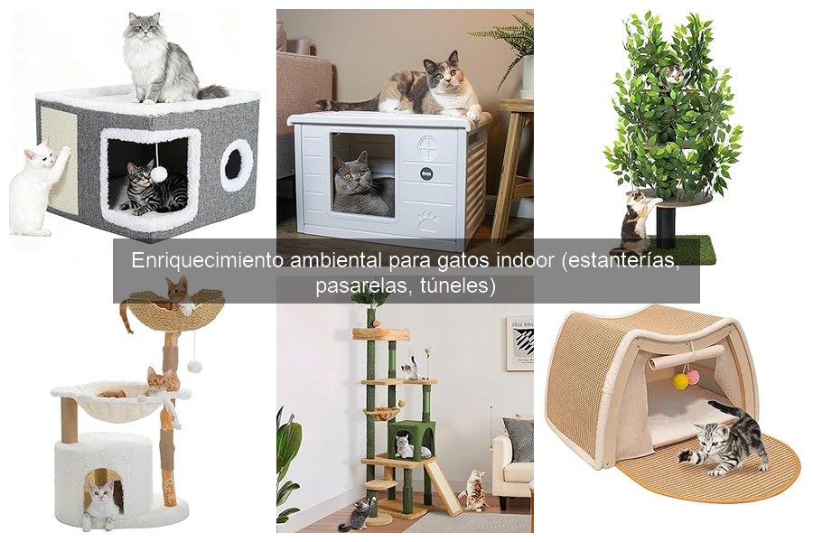 Alternativas a los túneles de gatos: Enriquecimiento efectivo