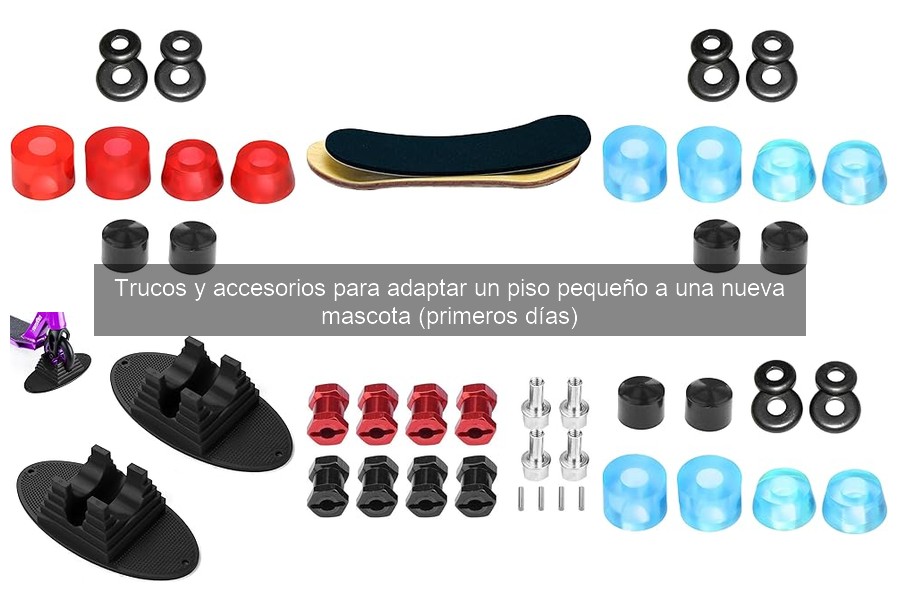 Alternativas acogedoras para mascotas en espacios pequeños