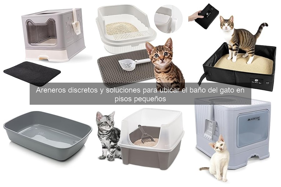 Alternativas al arenero discreto para gatos en pisos pequeños