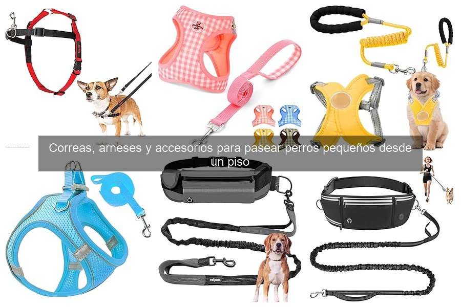 Alternativas innovadoras a las correas para perros pequeños