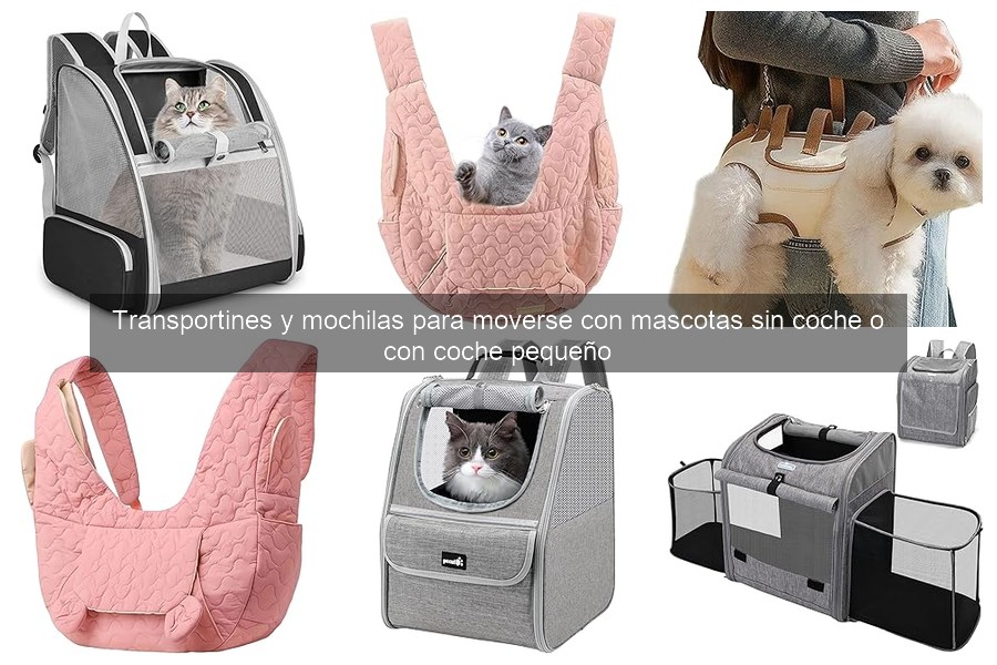 Beneficios de usar transportines en viajes cortos con mascotas