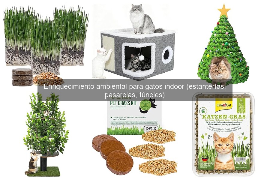 Beneficios del enriquecimiento ambiental para gatos indoor