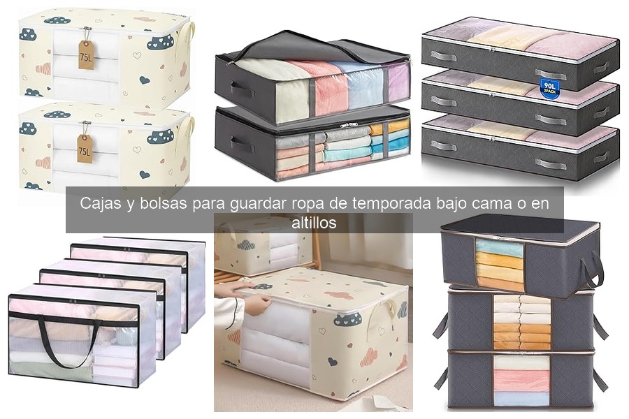 Cajas y bolsas para guardar ropa: las mejores opciones económicas