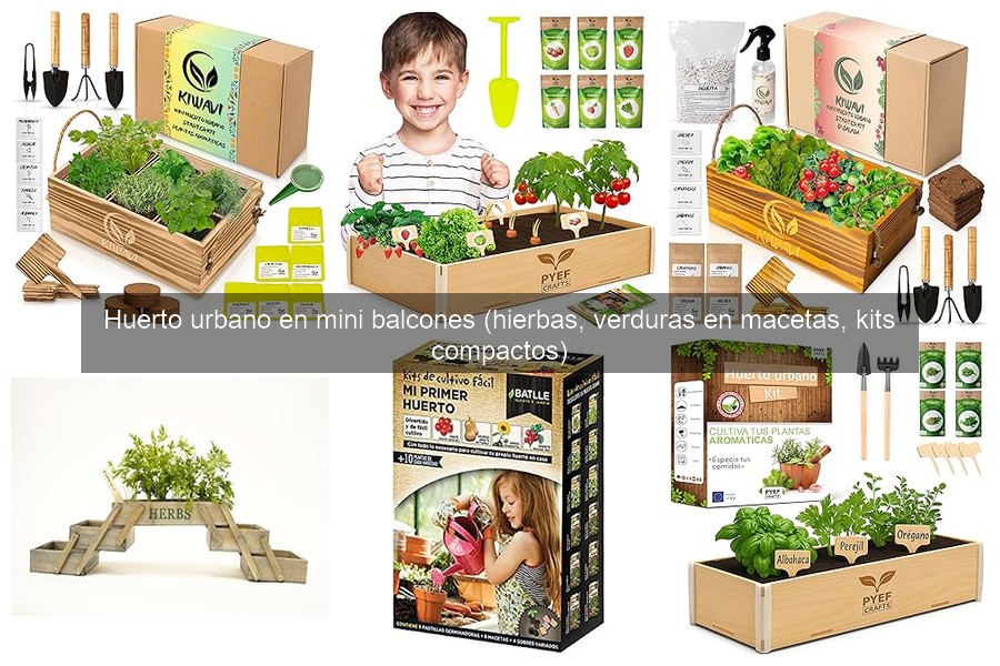 Cómo cuidar tu huerto urbano en invierno: consejos prácticos