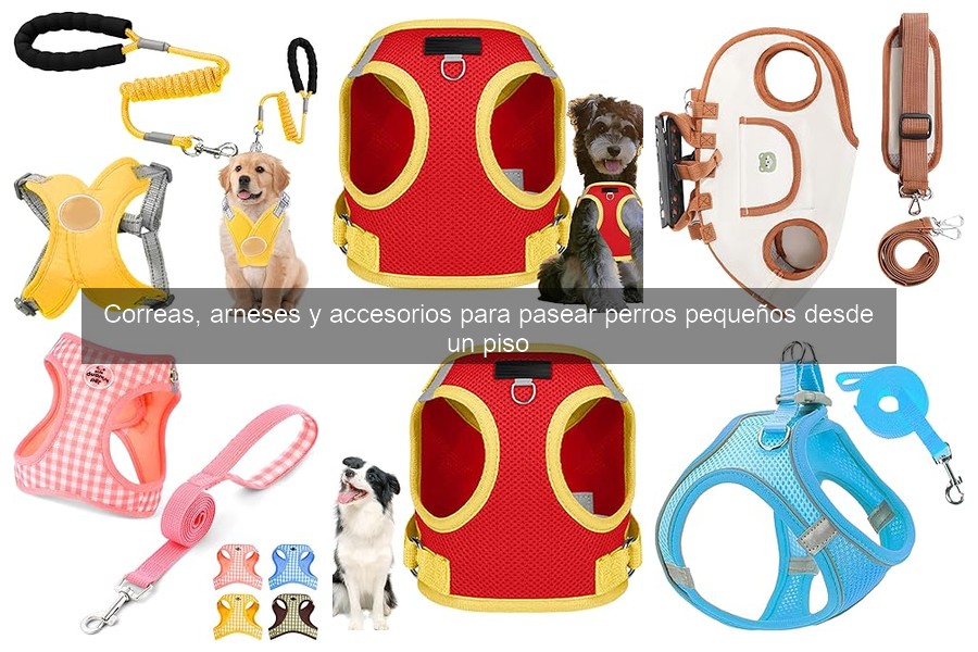 ¿Cómo elegir el arnés adecuado para tu perro pequeño?