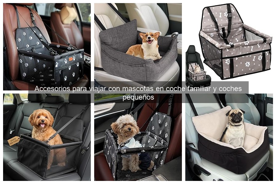 Cómo elegir el mejor arnés de seguridad para mascotas en coche