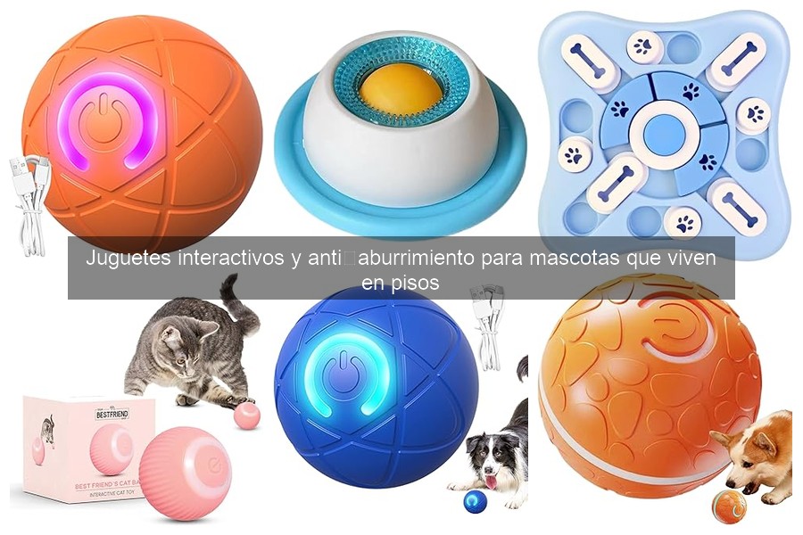 Cómo elegir el mejor juguete interactivo para tu mascota