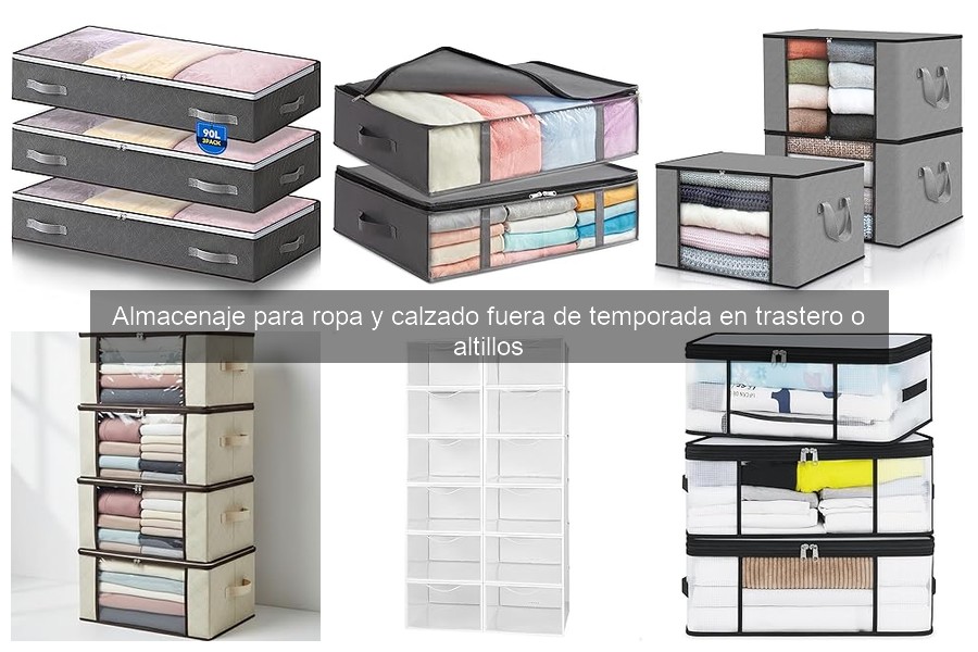 Cómo elegir el mejor organizador para ropa de temporada