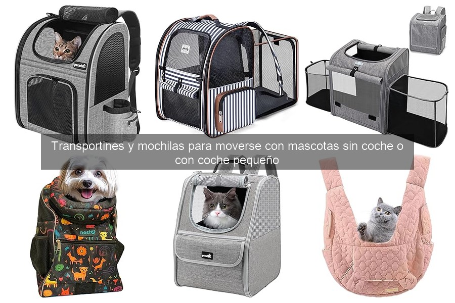 Cómo elegir el transportín ideal para viajar en transporte público