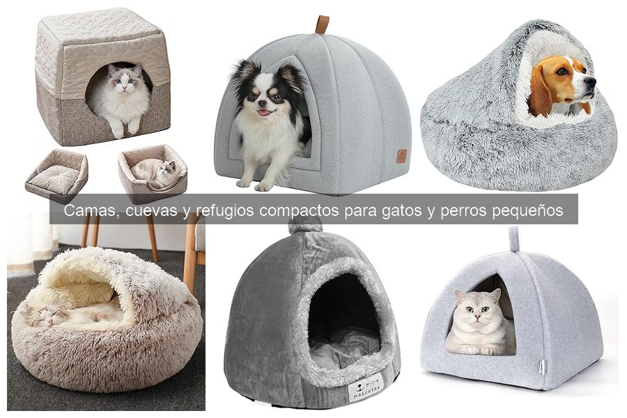 Cómo Elegir la Cama Perfecta para Gato o Perro Pequeño