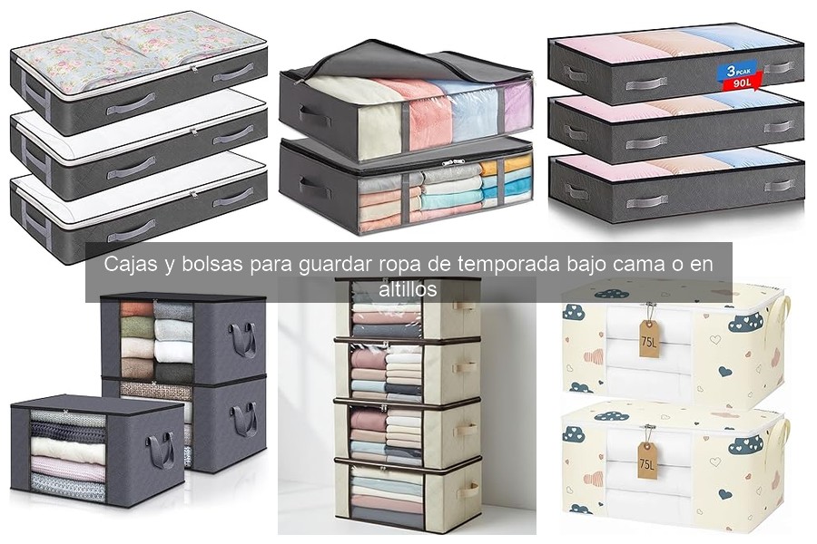** Cómo elegir la mejor caja o bolsa para guardar ropa