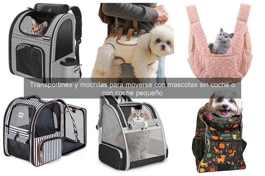 Cómo hacer que tu mascota se sienta cómoda en un transportín