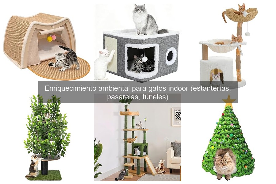 Cómo instalar estanterías y pasarelas para gatos indoor