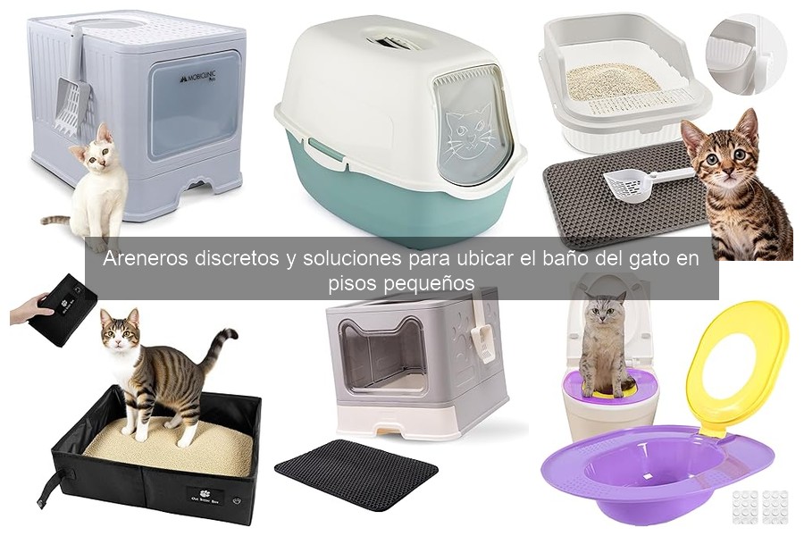 Cómo instalar un arenero discreto en espacios pequeños