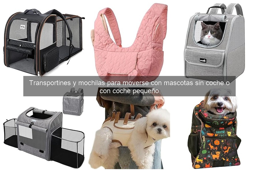 Cómo limpiar y mantener mochilas para mascotas efectivamente