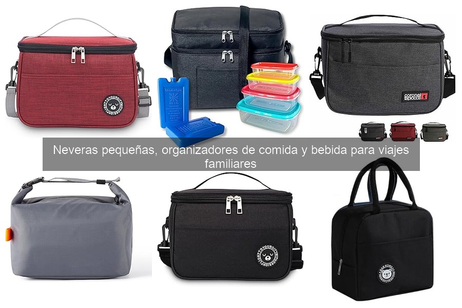 Cómo Organizar Comida en Neveras Pequeñas para Viajes