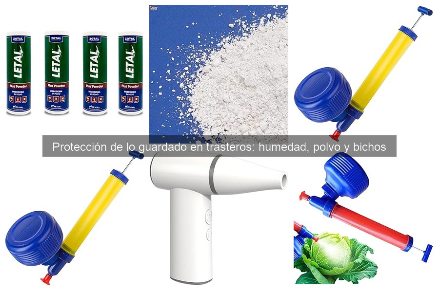 Cómo proteger tus objetos de la humedad en un trastero