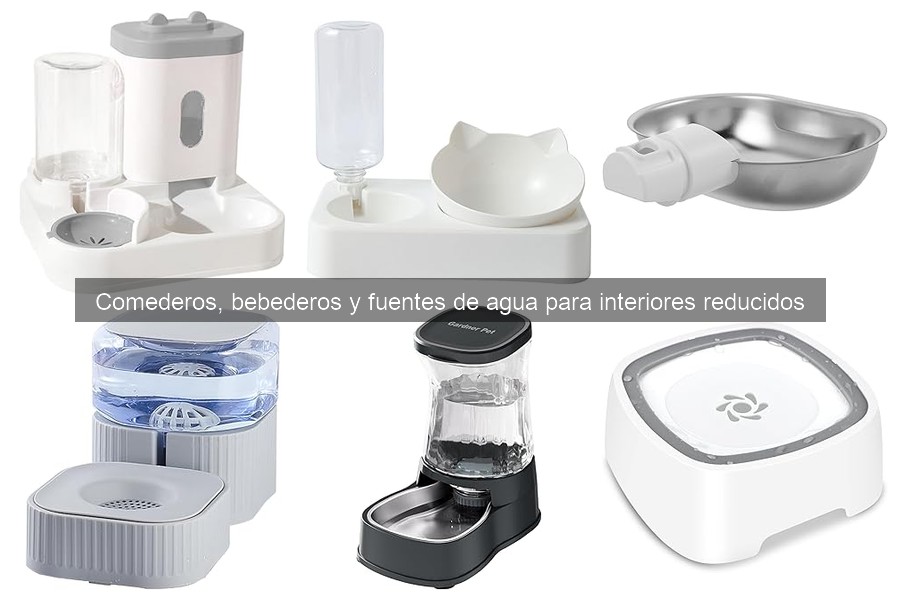Comparativa: Comederos Automáticos vs Manuales para Mascotas