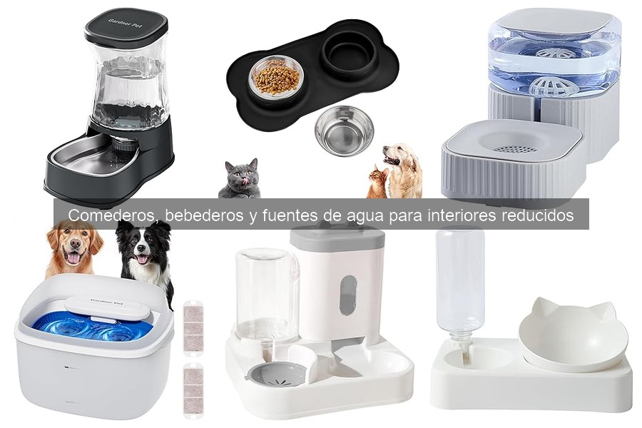 Comparativa de bebederos automáticos para gatos en apartamentos