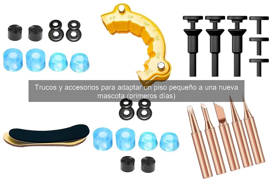 Comparativa de camas para mascotas en espacios pequeños