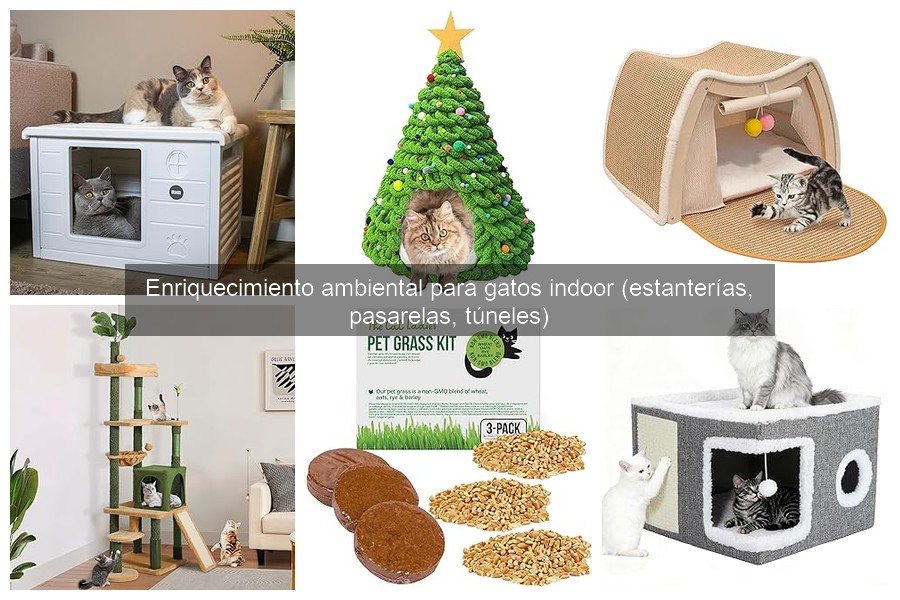Comparativa de estanterías fijas y modulares para gatos