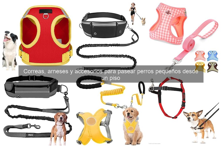 Comparativa de Precios de Correas y Arneses para Perros Pequeños