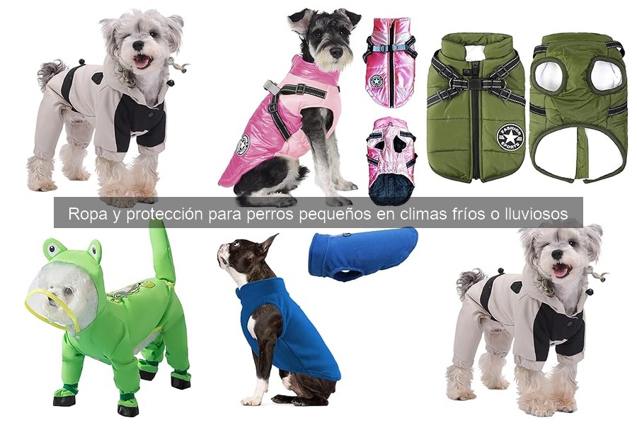 Comparativa de ropa para perros pequeños en invierno