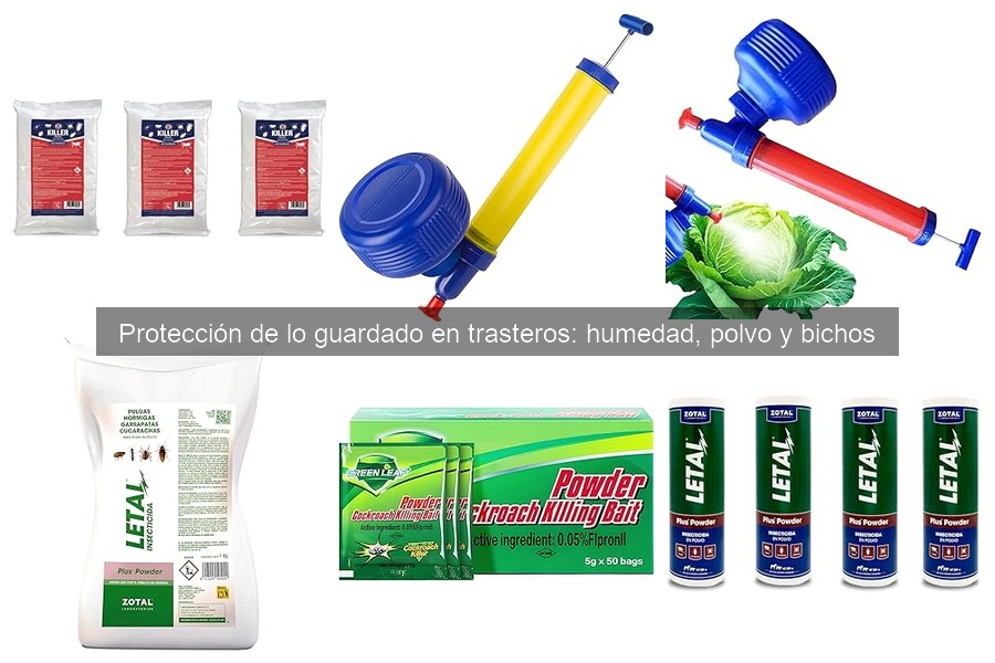Consejos efectivos para evitar insectos en trasteros