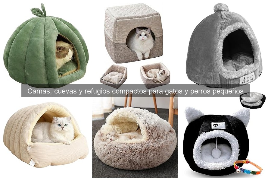 Consejos para el Mantenimiento de Camas para Mascotas Pequeñas