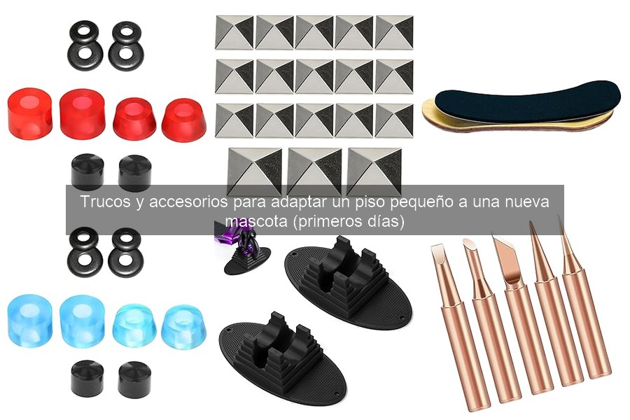 Cuidados de salud para tu nueva mascota en pisos pequeños