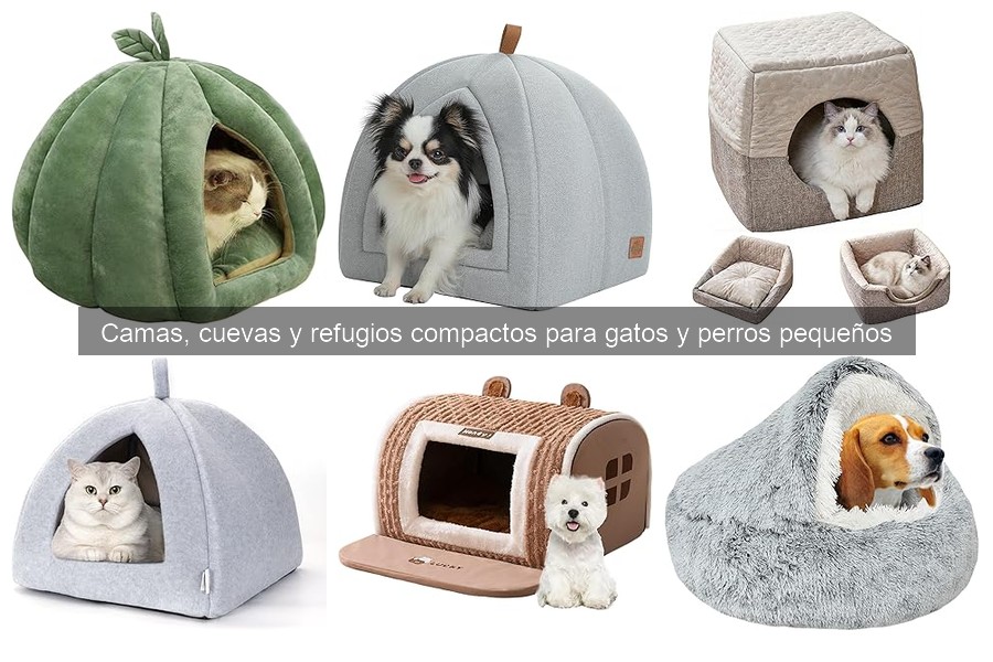 Dónde comprar camas y refugios para mascotas a buen precio