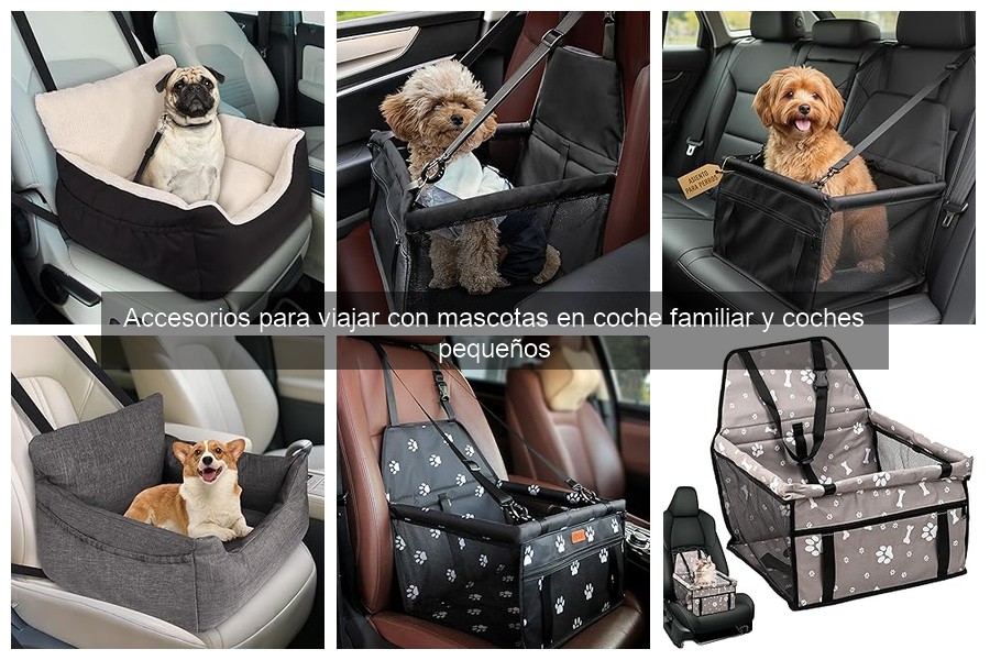 Encuentra los Mejores Accesorios para Viajar con Mascotas en Coche