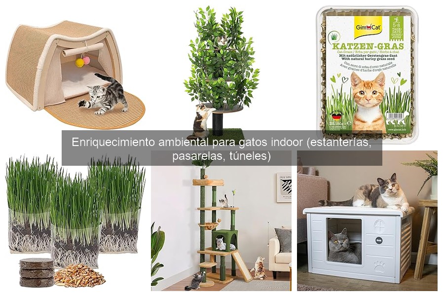 Enriquecimiento Ambiental para Gatos Indoor: ¿Qué Es y Por Qué Es Importante?