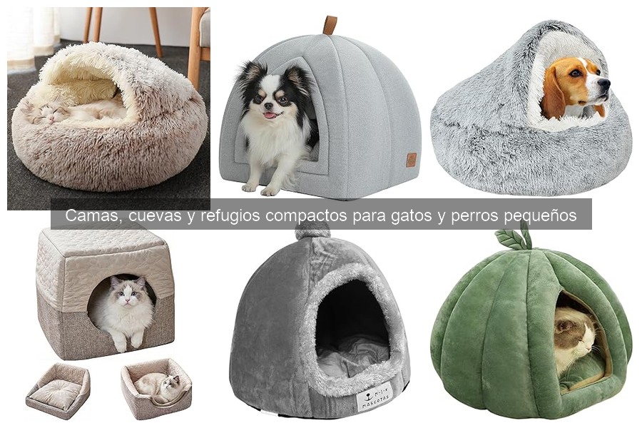 Errores comunes al comprar camas para perros y gatos pequeños