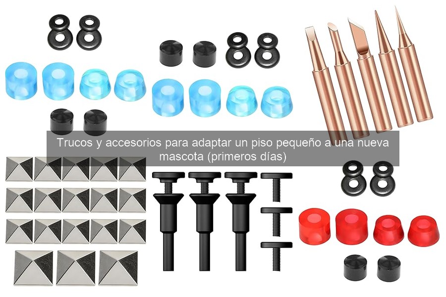 Errores comunes al elegir accesorios para mascotas en espacios pequeños