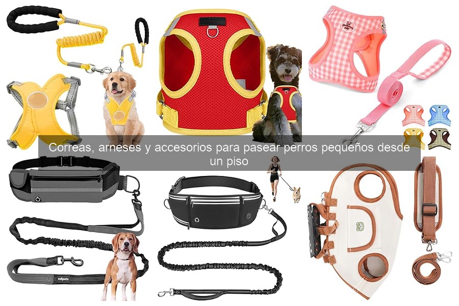 Errores comunes al elegir correas para perros pequeños