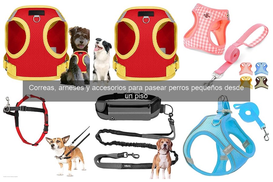 Errores comunes al pasear perros pequeños en la ciudad