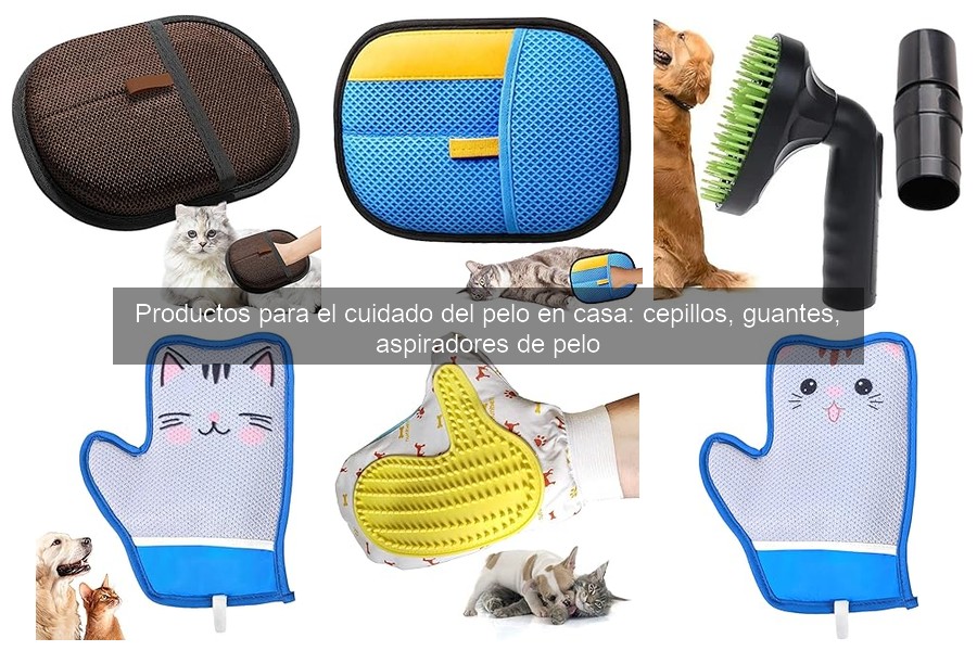 Errores comunes al usar aspiradores de pelo de mascotas