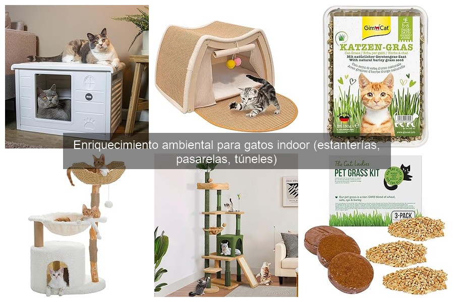 Errores comunes al usar estanterías para gatos indoor