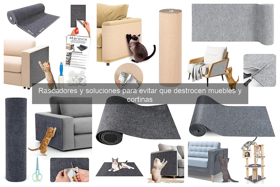 Errores comunes al usar rascadores para gatos en casa
