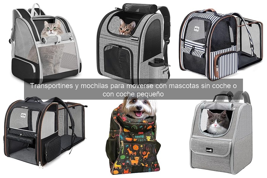 Errores comunes al usar transportines para mascotas