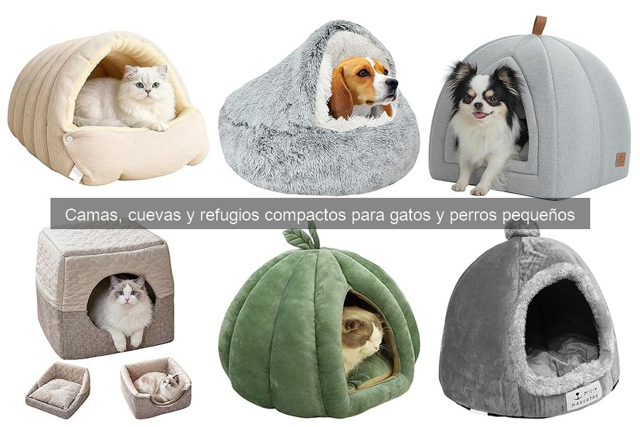¿Es necesaria una cama especial para mi mascota?