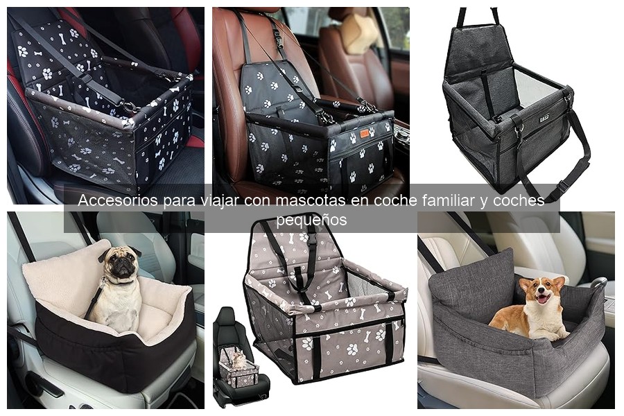 Esenciales para viajar en coche con perros: ¡todo lo que necesitas!